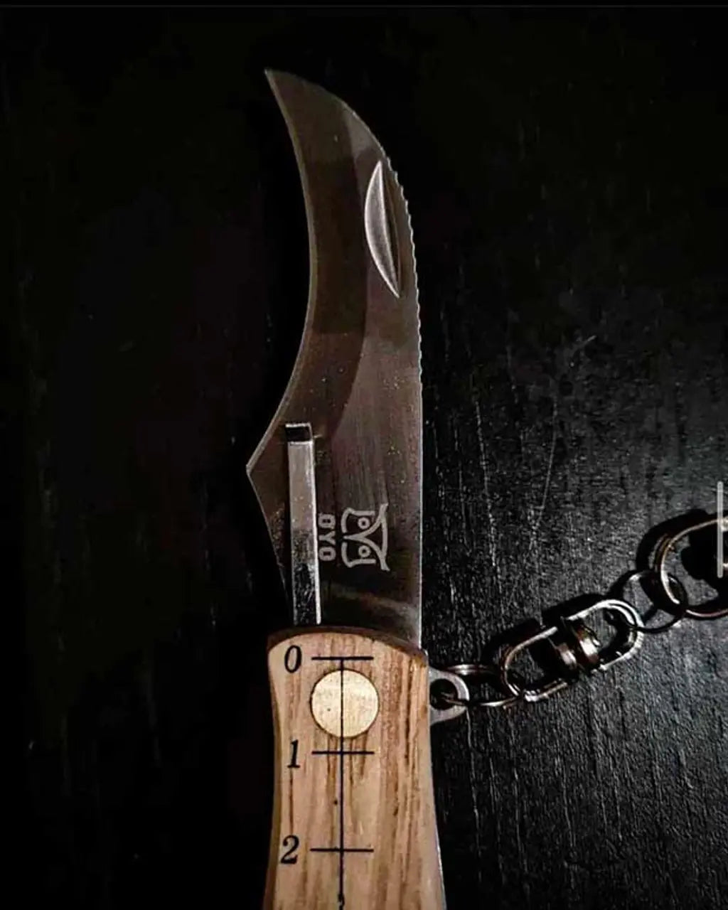 Foldebar kniv med træskaft, klinge og karabinkrogkæde.